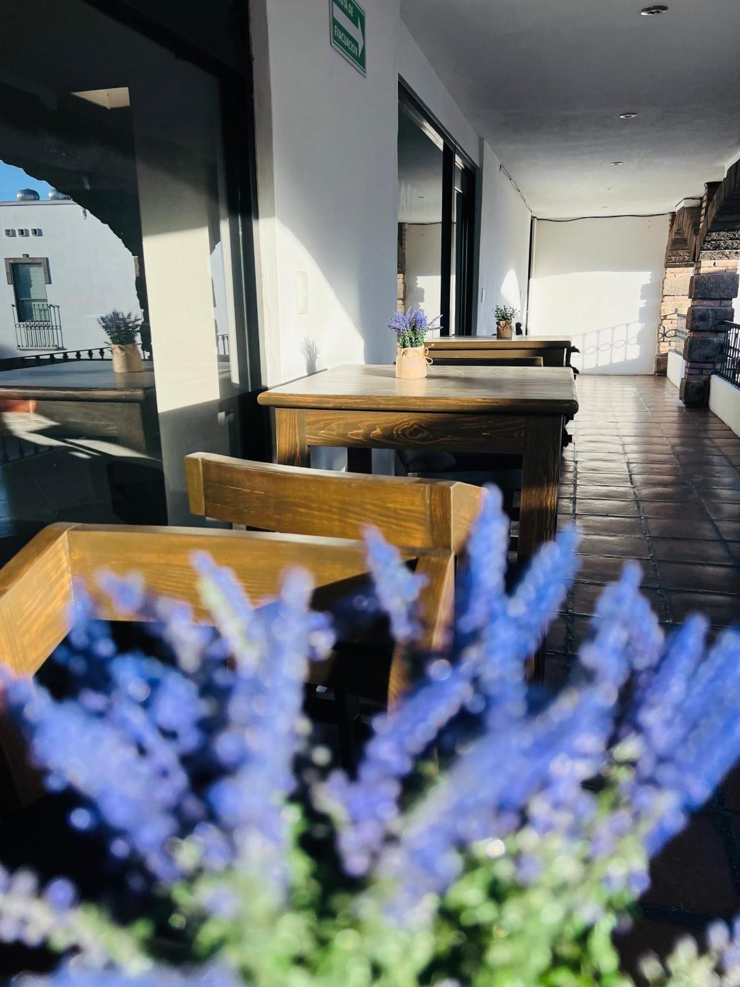 Qa Hotel ซานหลุยส์โปโตซิ ภายนอก รูปภาพ
